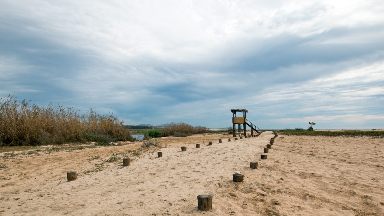 Hiking trail in Los Cabos