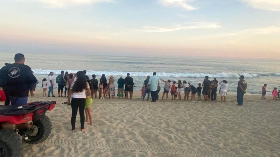 People lined u on the beach for a turtle release in Los Cabos