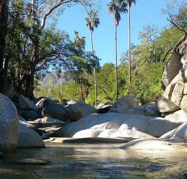 The Sierra de La Laguna Biosphere Reserve