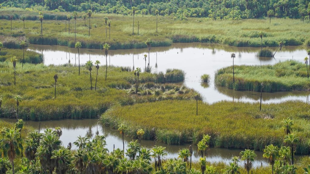 The Sierra de La Laguna Biosphere Reserve