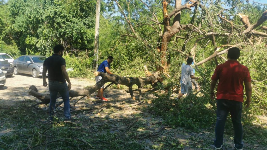 drivers helping clean debris