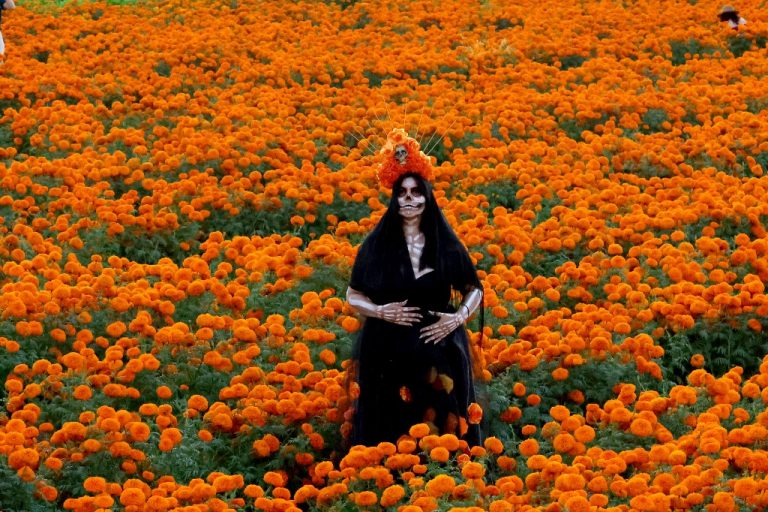 A catrina in the middle od a marigold field