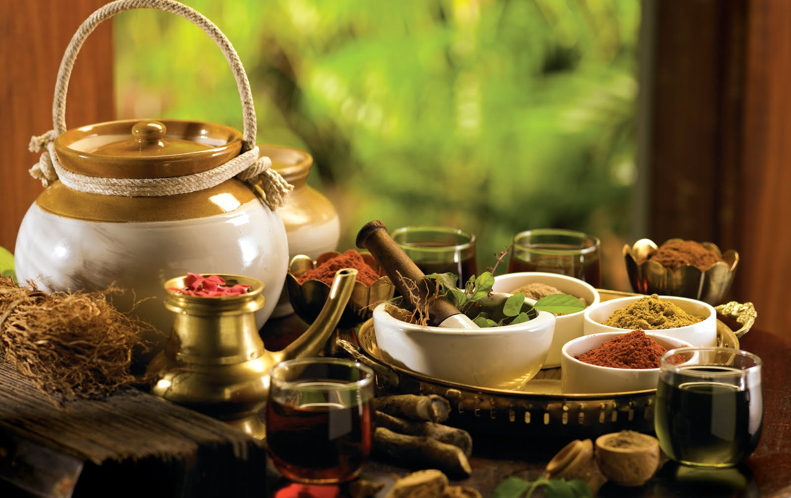 Ayurveda, traditional medicine