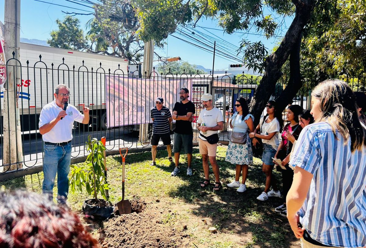 Personas participando del Festival del Árbol