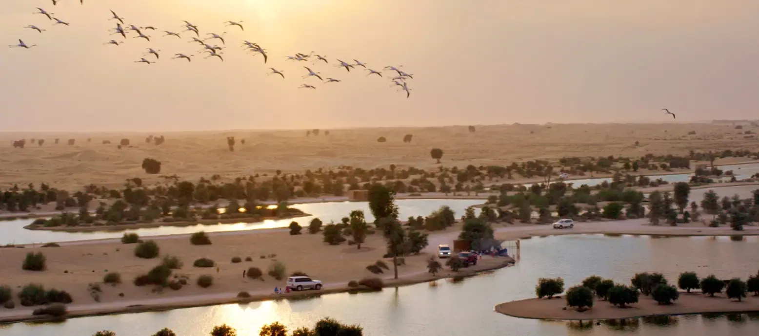 al-qudra-lakes.webp