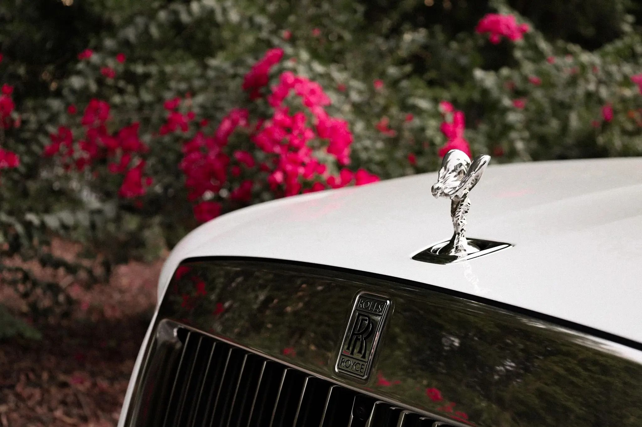 rolls royce ghost 8.jpeg