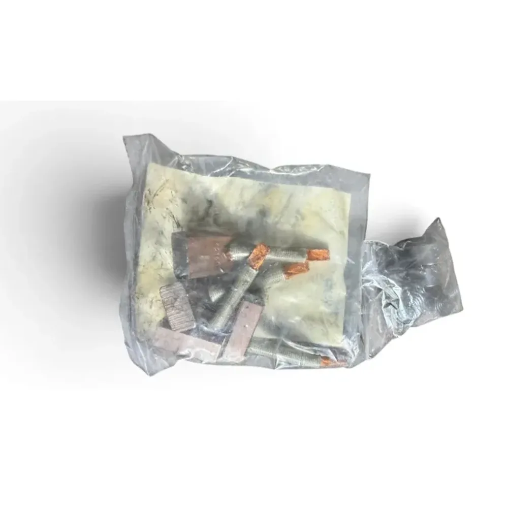 Set perii demaror ISKRA 16 905 973 cu arcuri