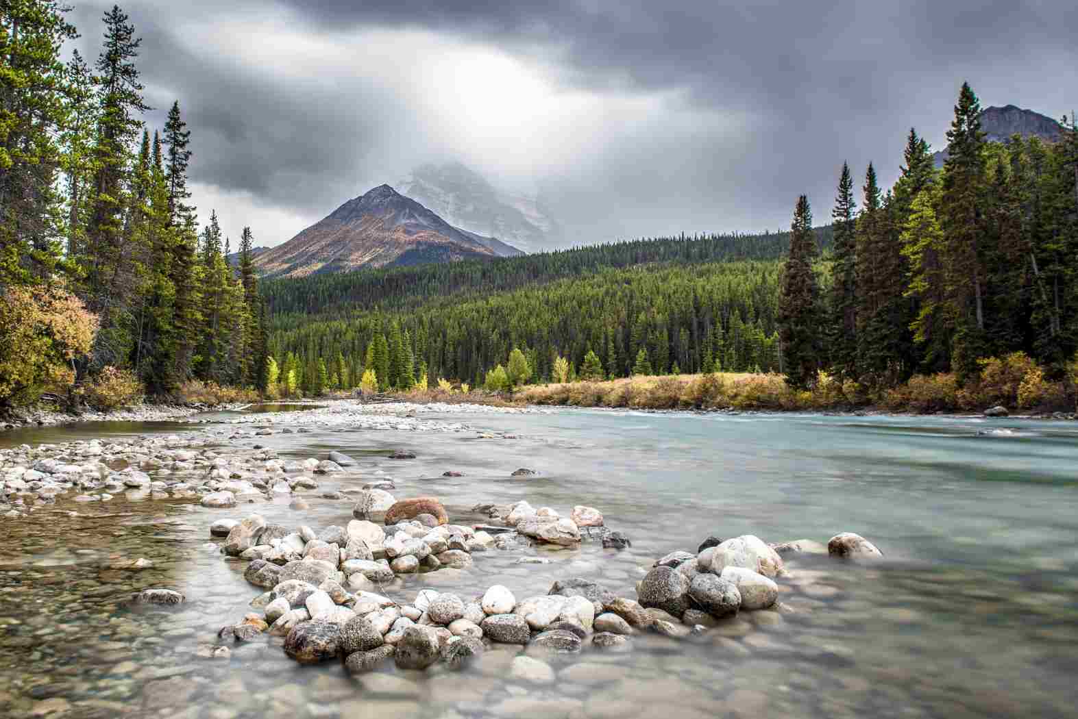 The Heartwarming Magic of Christmas in Canada | GetTripTip.com