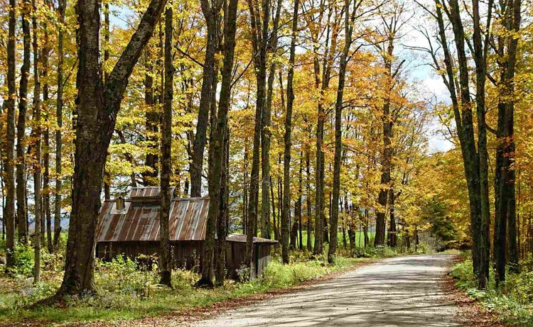 Discover Hidden Weekend Getaways in New England