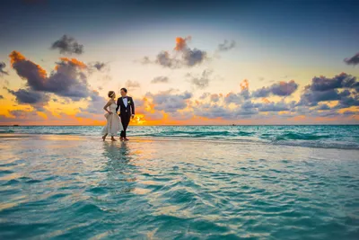 Honeymoon Travel Planner: The ultimate guide