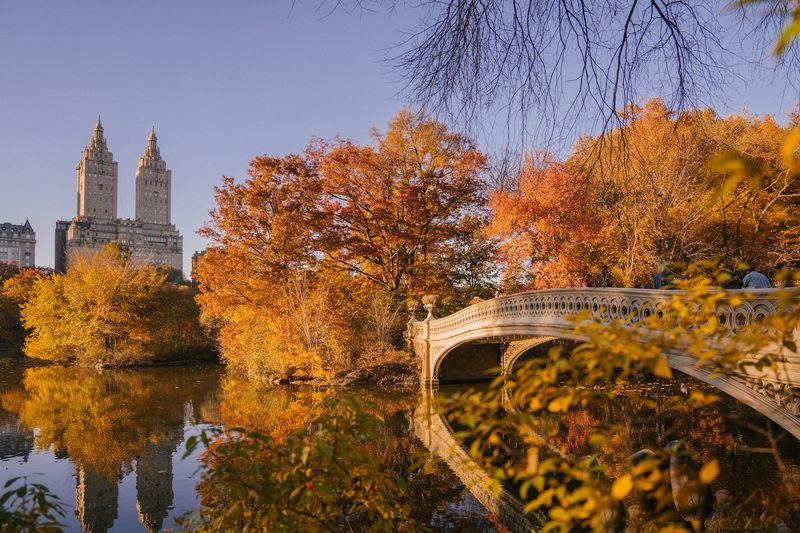 One day trip to New York - Central Park | GetTripTip.com