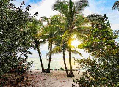 Weekend Getaways in Florida: Your Ultimate Guide with Triplay.ai