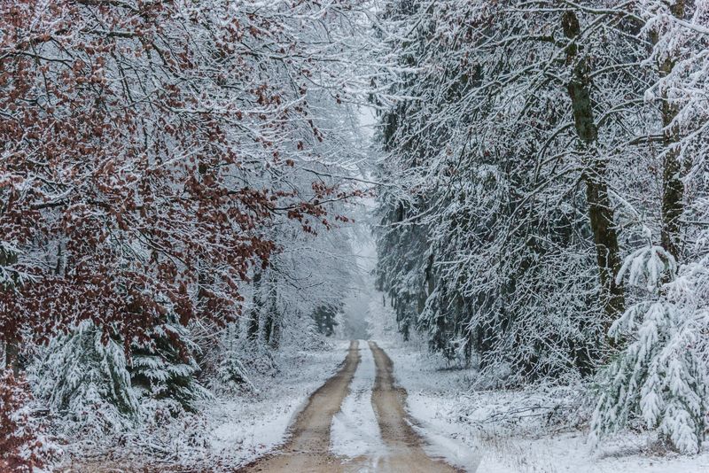 The Beauty of Snow-covered Landscapes | GetTripTip.com