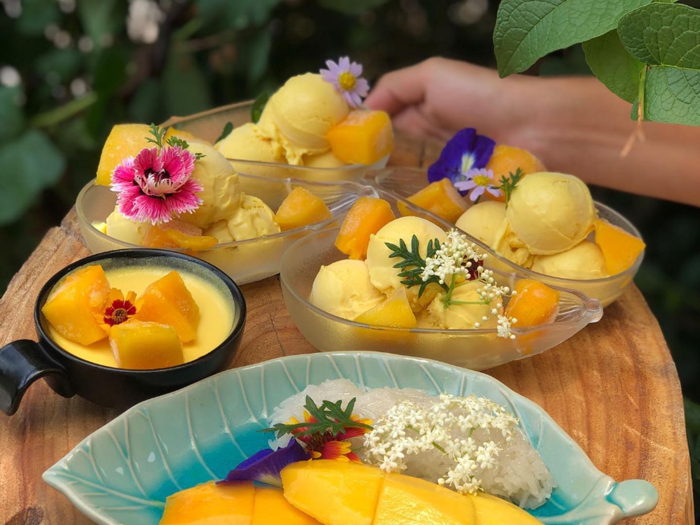 บ้านหมากม่วง KhaoYai The Mango House Farm ดูข้อมูลที่เที่ยวบน TripNiceDay