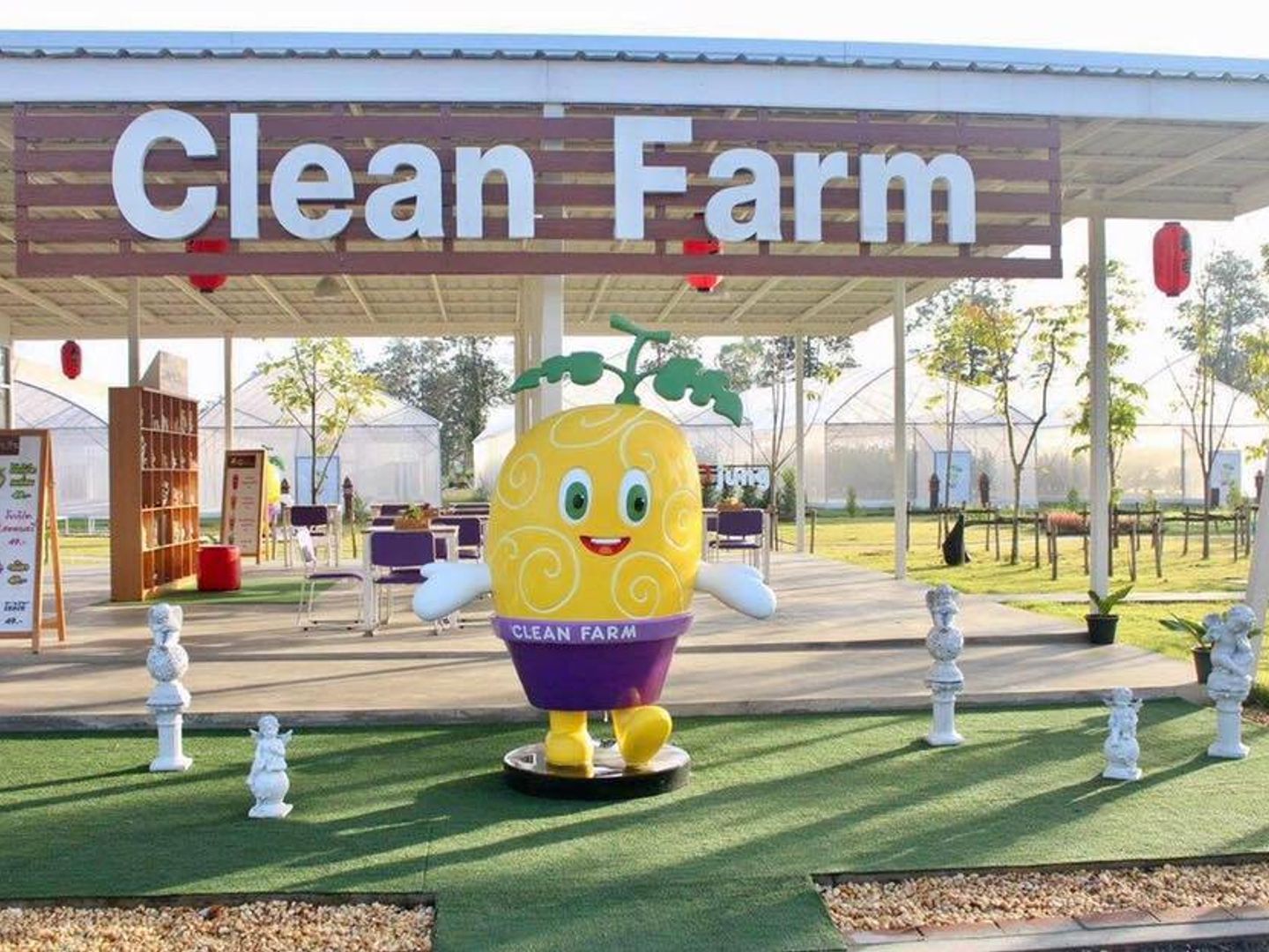 Clean Farm Melon | ดูข้อมูลที่เที่ยวบน TripNiceDay