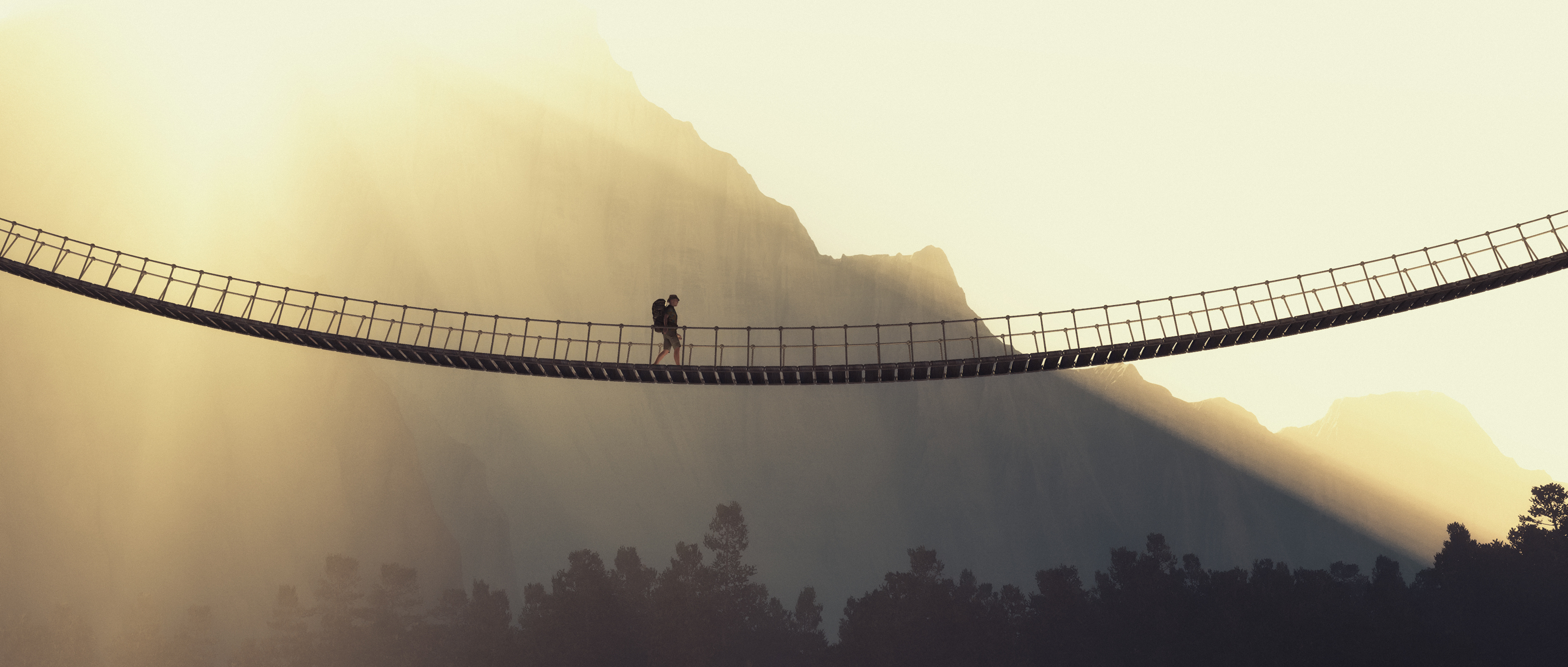 Integrating the Experience