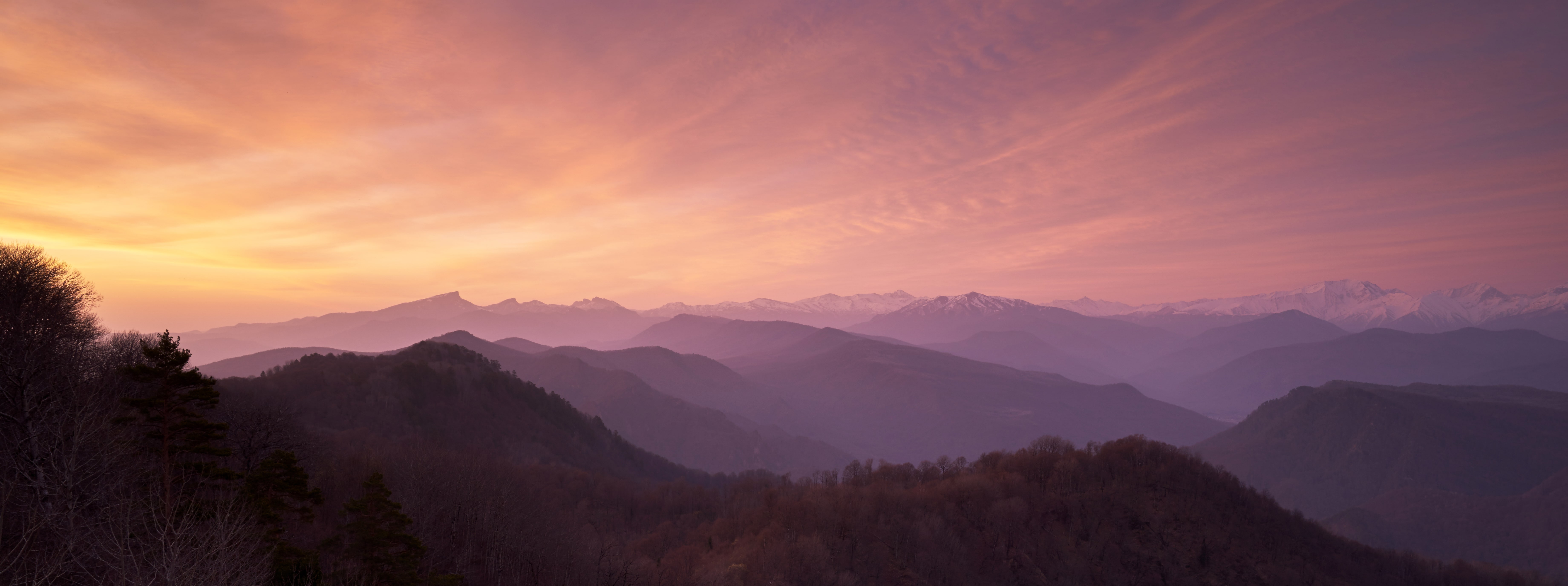 Open the Door - A Gratitude Practice
