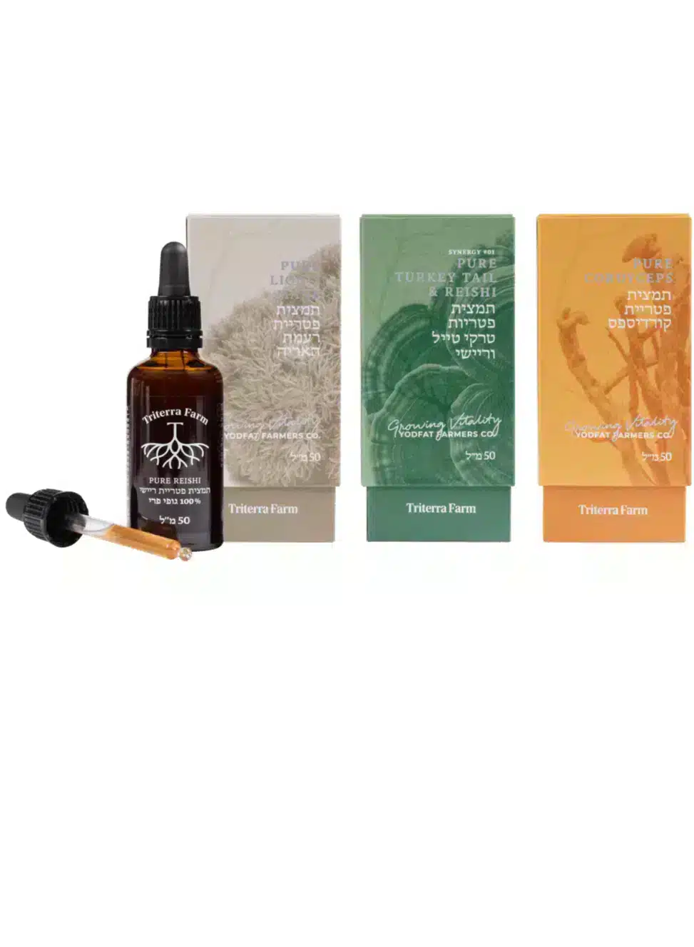 בקבוק תמצית ריישי (Reishi) של טריטרה פארם עם טפטפת, מוצב לצד שלוש אריזות תמציות פטריות – רעמת האריה (Lion’s Mane), סינרגיה של טרקי טייל וריישי (Turkey Tail & Reishi) וקורדיספס (Cordyceps) – כולם במיצוי משולש (Triple Extract) ו-50 מ