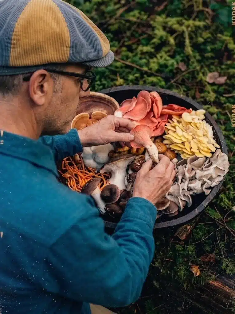 Shlomi Hayun foraging for mushrooms in a Galilee forest