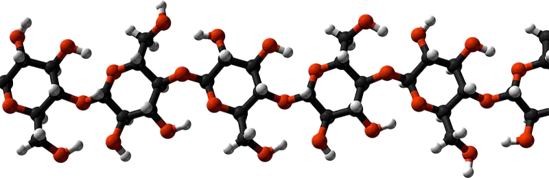 Structure of the beta-glucan molecule — the compound the lab measures, and that regulation does not require anyone to publish