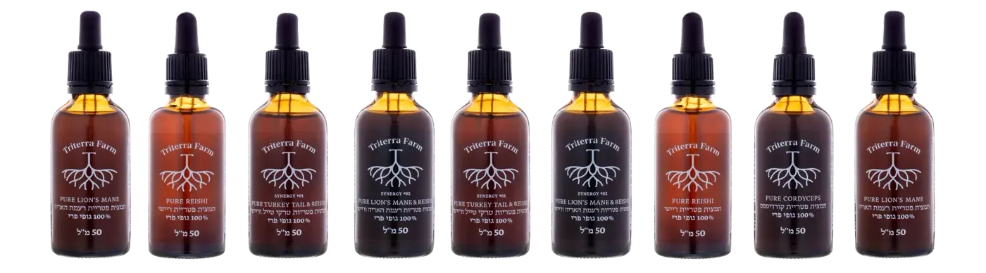 Triterra Farm medicinal mushroom tinctures lined up — reishi, lion's mane, cordyceps, turkey tail with reishi