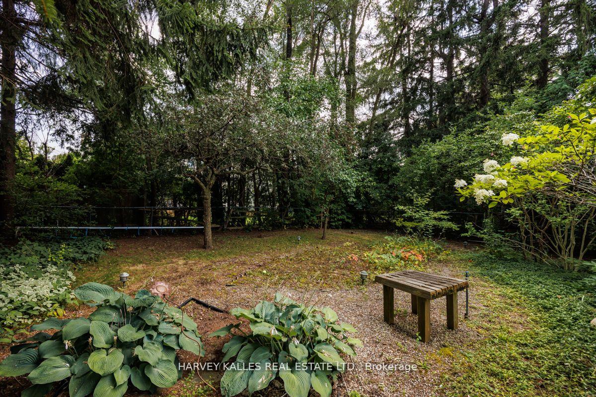 15 Old Colony Rd, Toronto, ON M2L2J7 | 4 Bedroom 6 Bathroom Detached House | Image 40