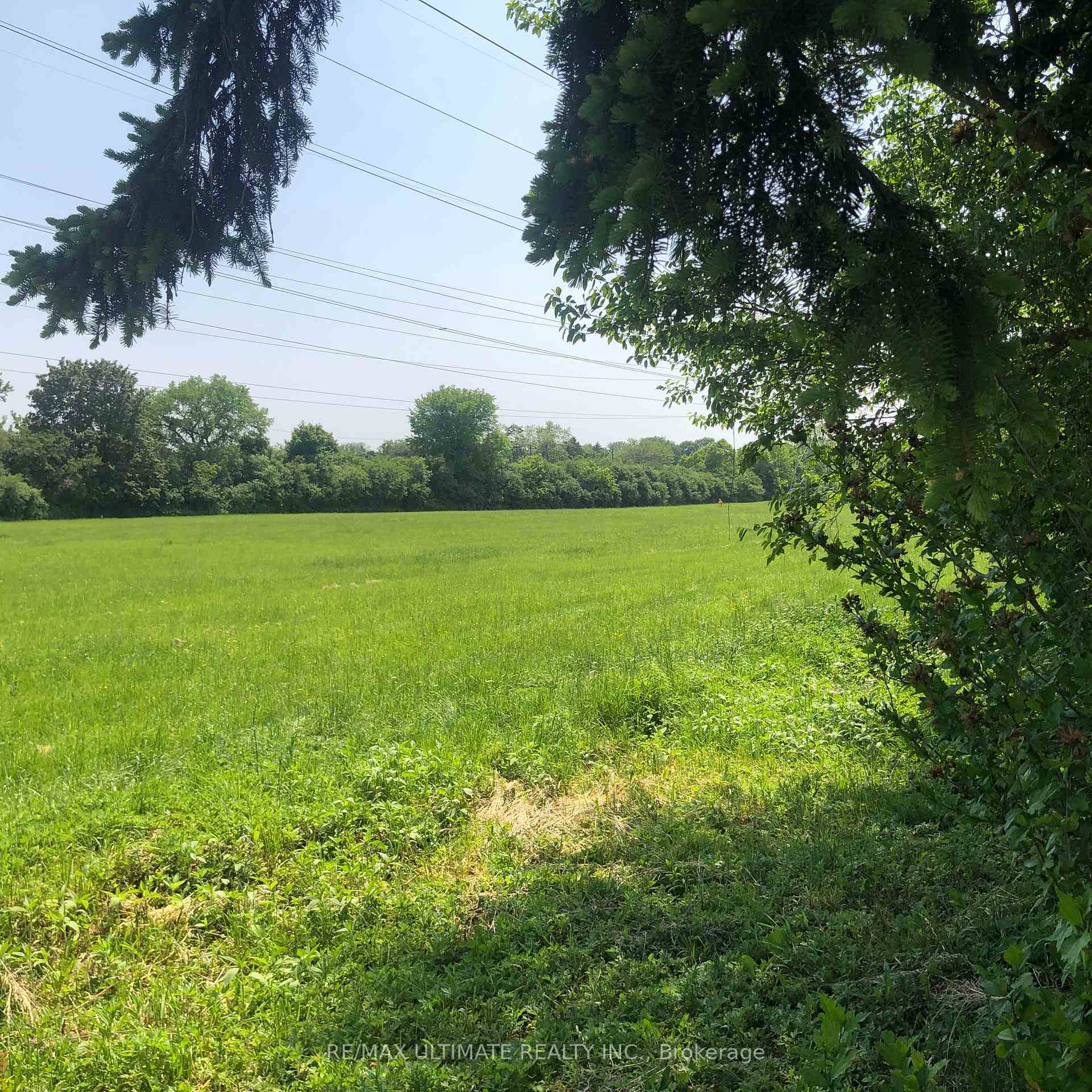 51 Charlton Blvd, Toronto, ON M2M1C1 | 4 Bedroom 4 Bathroom Detached House | Image 11