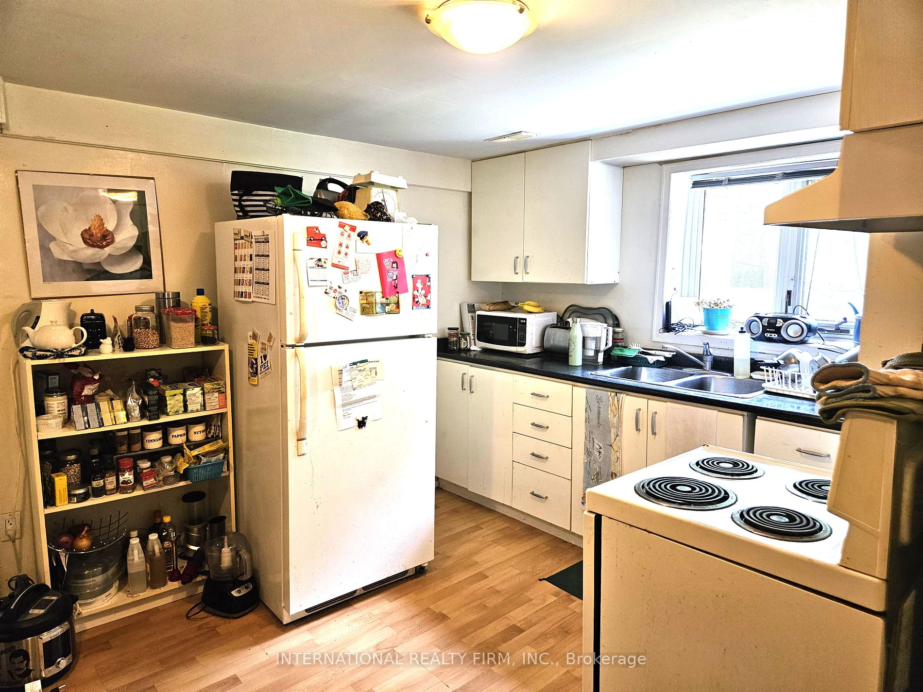 201 Bishop Ave, Toronto, ON M2M1Z7 | 5 Bedroom 3 Bathroom Detached House | Image 13