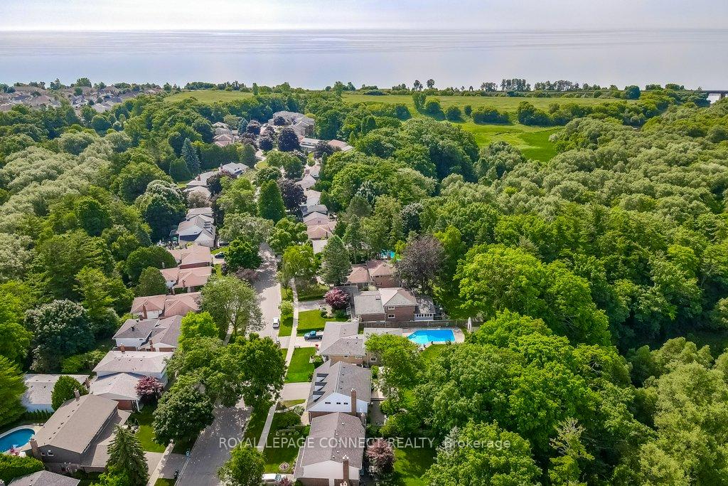 42 Holmcrest Tr, Toronto, ON M1C1V5 | 4 Bedroom 4 Bathroom Detached House | Image 4