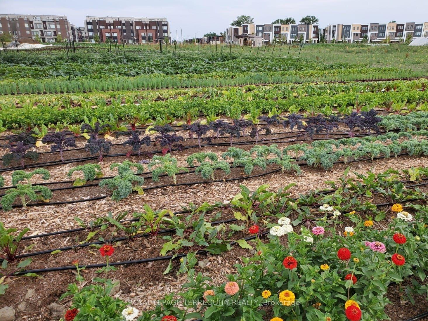 17 Stanley Greene Blvd, Toronto, ON M3K0B1 | 3 Bedroom 3 Bathroom Semi-Detached House | Image 38