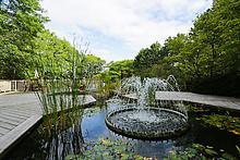 #601 - 2010 Islington Ave, Toronto, ON M9P3S8 | 2 Bedroom 2 Bathroom Condo Apt | Image 9