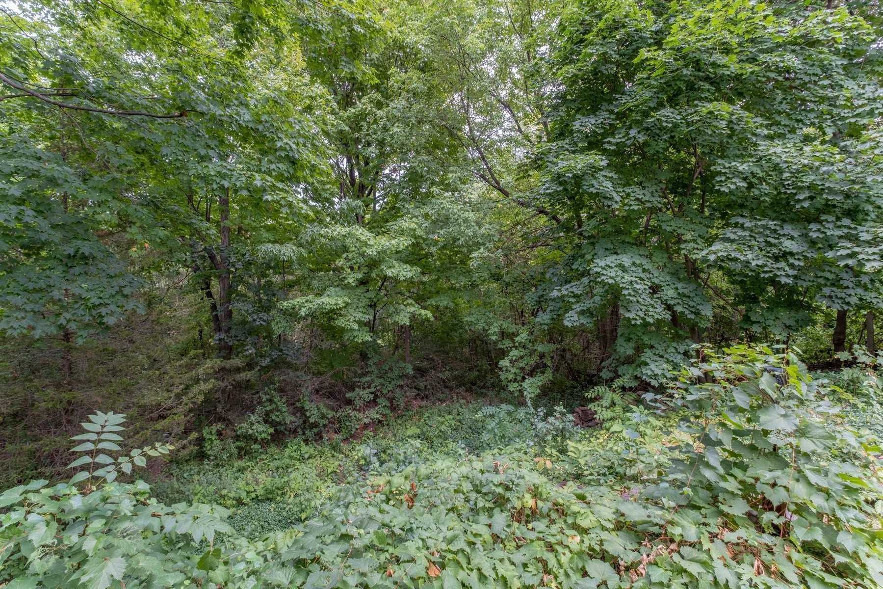 35 Riverhead Dr, Toronto, ON M9W4G3 | 3 Bedroom 3 Bathroom Detached House | Image 4