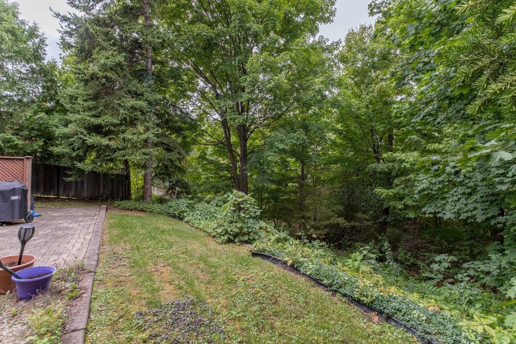 35 Riverhead Dr, Toronto, ON M9W4G3 | 3 Bedroom 3 Bathroom Detached House | Image 6