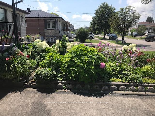 31 Demaris Ave, Toronto, ON M3N1M2 | 3 Bedroom 2 Bathroom Semi-Detached House | Image 34