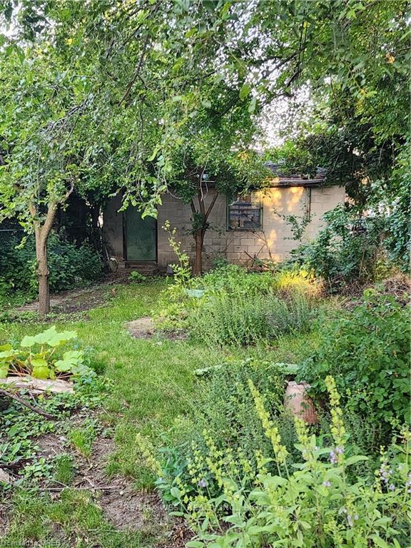 50 Batavia Ave, Toronto, ON M6N4A2 | 4 Bedroom 3 Bathroom Detached House | Image 3