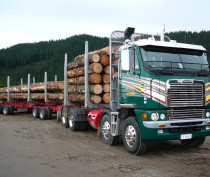 TractionAir Forestry