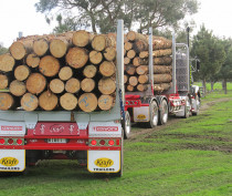 Traction Air Forestry