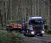 Traction Air Forestry