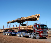 Traction Air Forestry