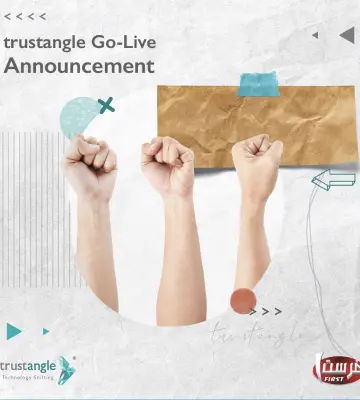 The customisation of the cloud-based ERP NetSuite