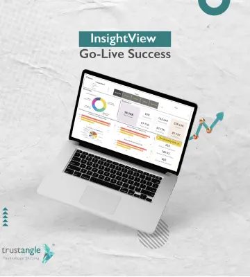 "InsightView BI" product