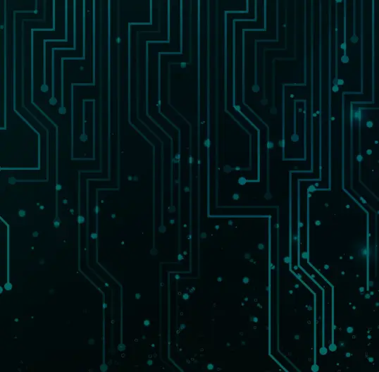 Customizable Features