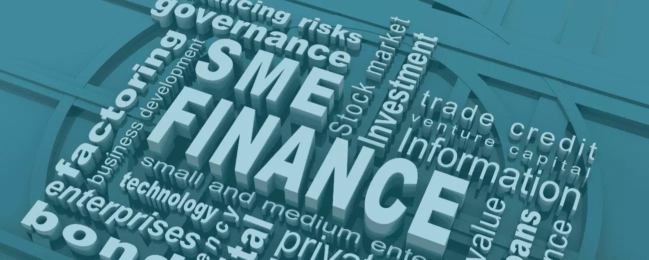Managing Finances for Saudi SMEs: The Impact of Advanced Accounting Systems