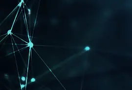 Customized IT Solutions