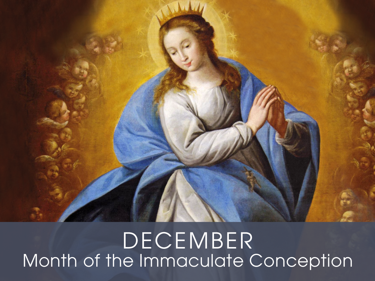 Month of the The Immaculate Conception