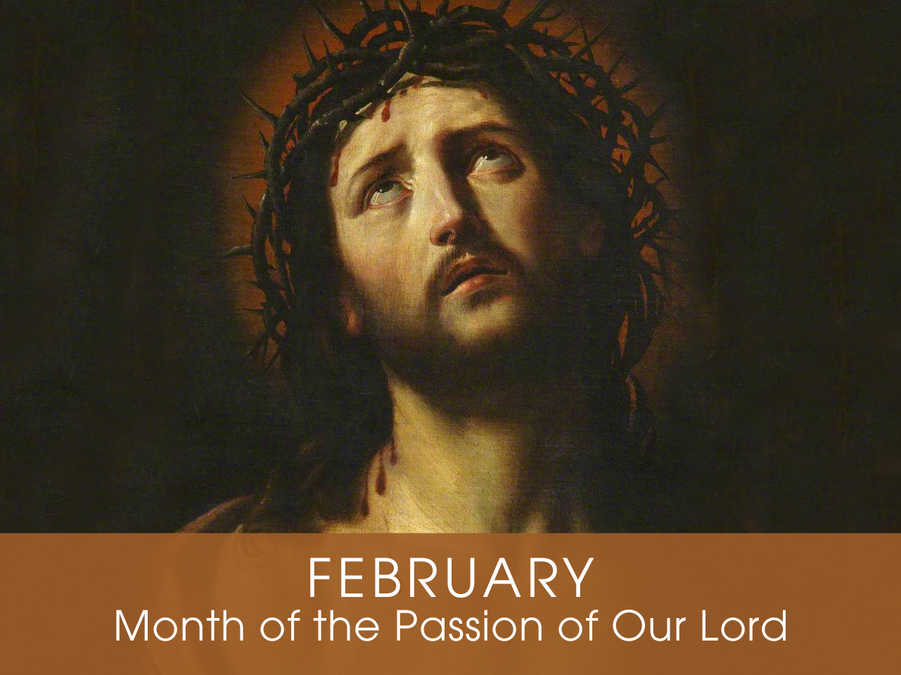 Month of the The Passion