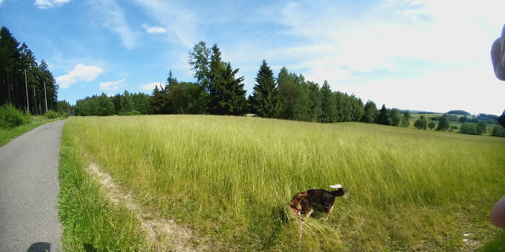 Kamerka hravě pořídí 360° fotky nebo panoramata. Test Acer Holo 360