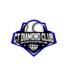 CT Diamond Softball Club