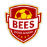 Bees Soccer Academy