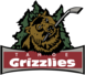 Tahoe Grizzlies